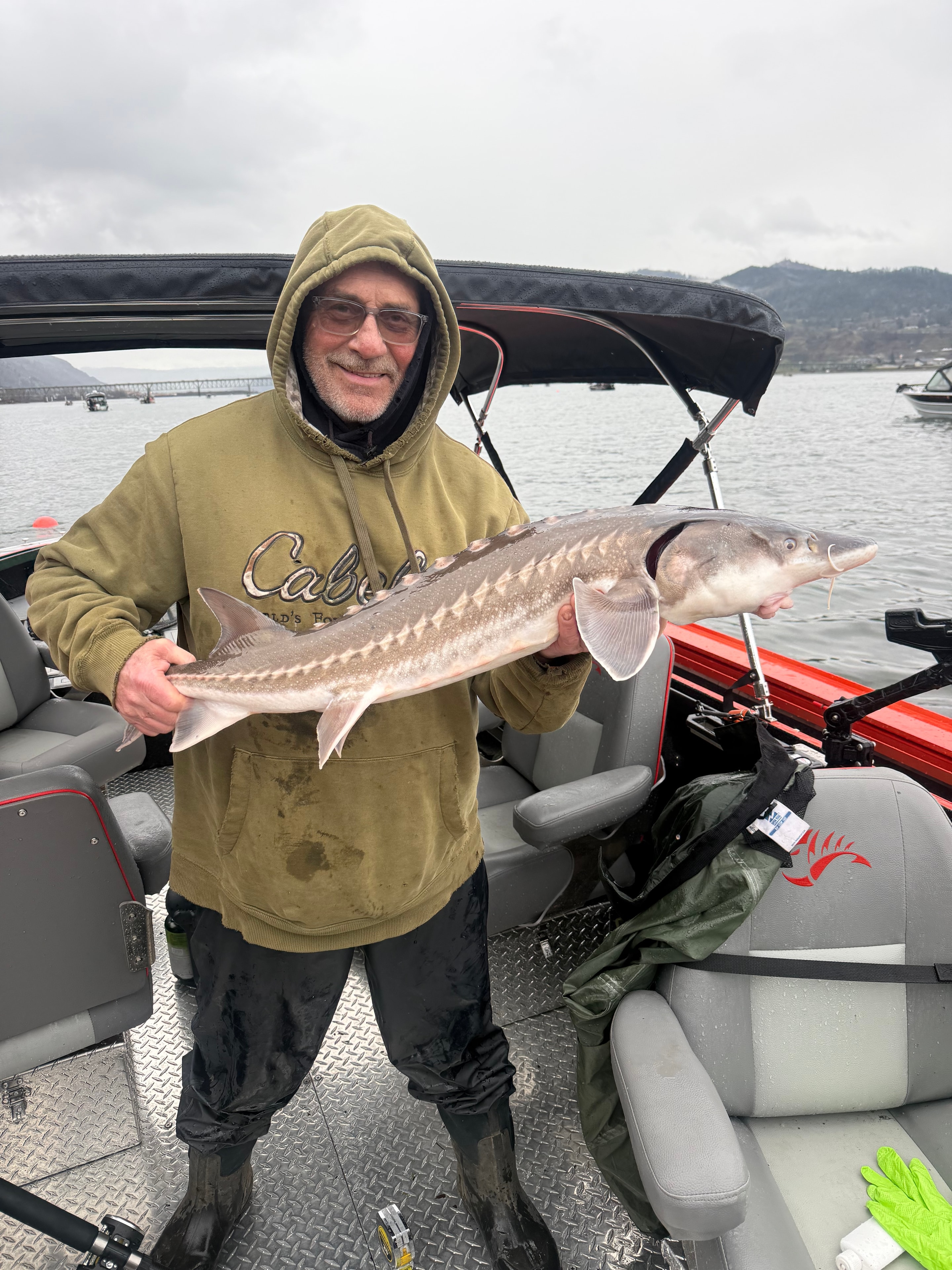Sturgeon